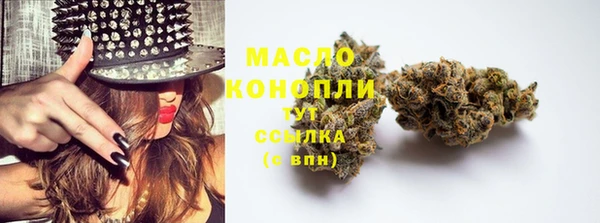 индика Арсеньев