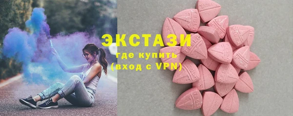 индика Арсеньев