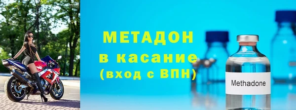 индика Арсеньев