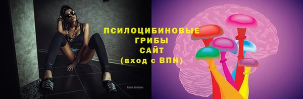 индика Арсеньев