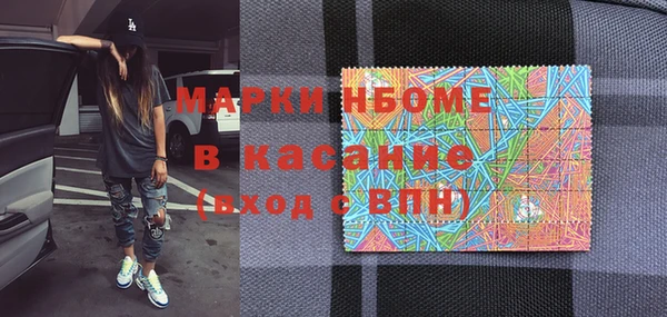 индика Арсеньев