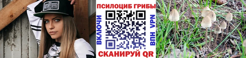 Галлюциногенные грибы мицелий Купить где Боровск